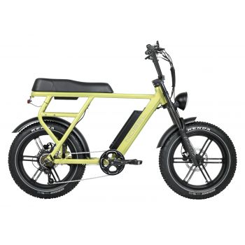 GTS Nobel FatBike groen zijaanzicht